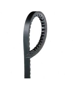 Gates XL Accessory Belt