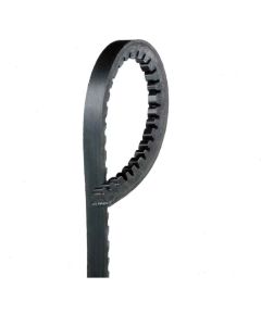 Gates XL Accessory Belt