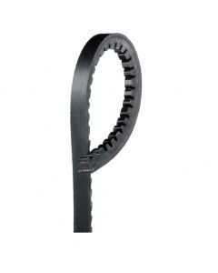 Gates XL Accessory Belt