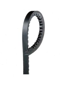 Gates XL Accessory Belt