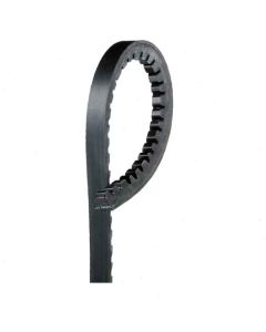 Gates XL Accessory Belt